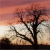 :icontzumenchenkinzhao: