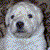 :iconu-law: