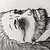 :iconua-sama: