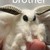 :iconub276: