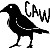 :iconubercrowfanatic: