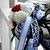 :iconuberrapidash: