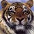 :iconubertiger7: