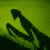 :iconuburoi-13: