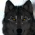 uchihaWolf :iconuchihawolf: