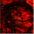 :iconucus: