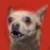 :iconugly-puppy: