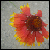 :iconuhhphotography: