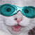 :iconUHLERSOTH:
