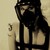 :iconuhmanduh333: