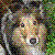 :iconuitimate:
