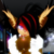 :iconujima: