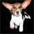 :iconukgoodfella: