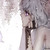 :iconuknown53: