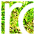 :iconukurban: