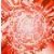 :iconuleyoth1115: