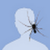 :iconulfgrap: