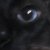 :iconulijese: