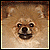:iconult1mate: