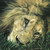 :iconultimage17: