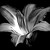 :iconultimateme111:
