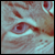 :iconUltracotton:
