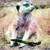 :iconultrahstock:
