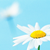 :iconultraviolet6: