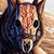 :iconUlveHunden:
