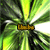 :iconumbai: