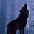 :iconumbra-sarcina: