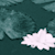 :iconumbrella-coverage: