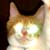 :iconumharhar: