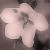 :iconun-noticed: