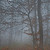 :iconUn-Opened: