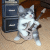 :iconunapproachable: