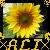:iconunbellakis-alexandra: