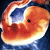 :iconunborn-fetus: