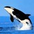 unbornlycan :iconunbornlycan:
