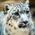 UnciaCrafts :iconunciacrafts: