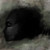 :iconunclebaret:
