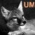 :iconunclemontezuma:
