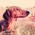 uncleslinky :iconuncleslinky: