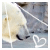 :iconunconventionals: