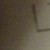 :iconundead-wolf3296: