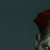 :iconundeadclown1plz: