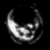 :iconundeclaredwinner: