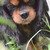 :iconundee47: