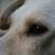 :iconunder-one-flag: