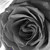 :iconunderestimatedbeauty: